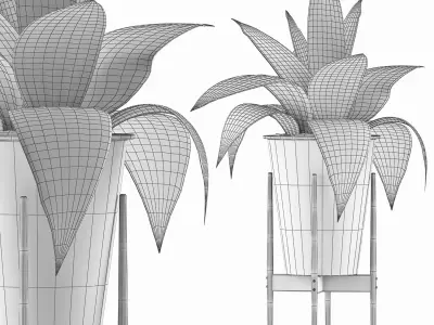 Plants Collection 107 3D model