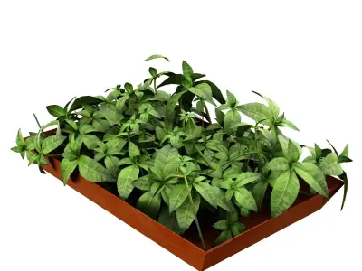 Plant Pot Decor 3D model