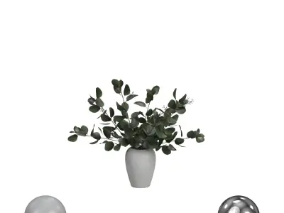 Bouquet of Eucalyptus in White Vase 3D model