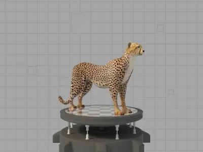 Cheetah on chess board 3D model