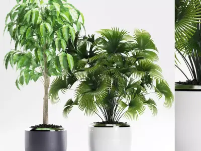 palm plants 139 3D model