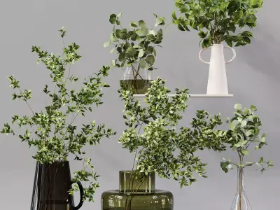 Collection Indoor Plants 01 3D model