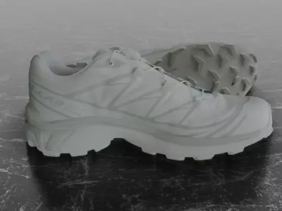 SALOMON S-LAB XT6 WHITE 3D SHOES 3D model