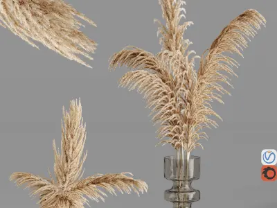 Hemase Decorative Collection