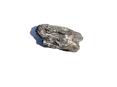 Bark Chip 3D Scan Free 3D model
