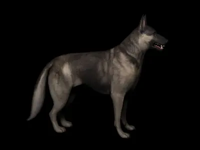 Shepherd dog 3d model 3D model