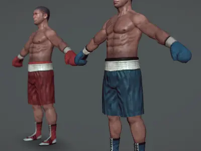 Boxer v1 Low-poly 3D model