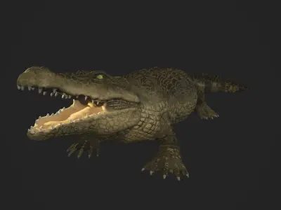 3d crocodile model alligator Low-poly 3D model
