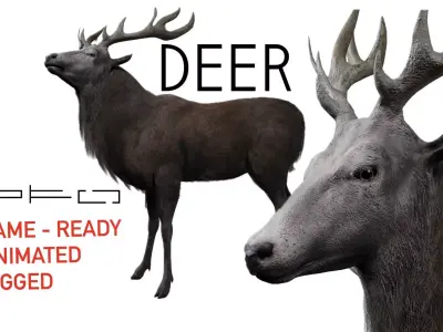Deer Animal  Low-poly 3D model