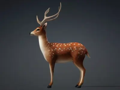 Deer-C2 3D model