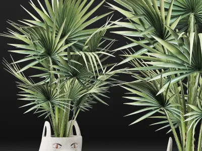 Plants Collection 139 Sabal Minor 3D model
