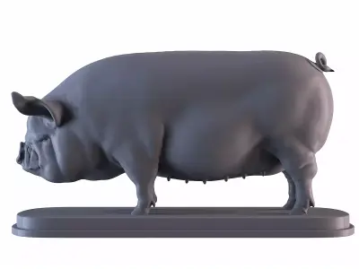 Middle White Pig 3D print model