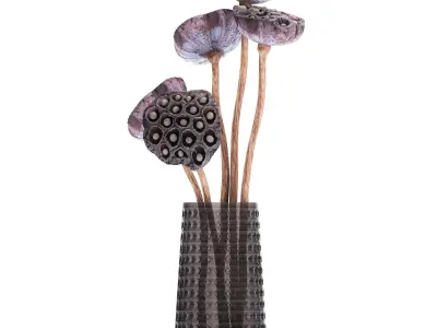 Bouquet of dried flowers lotus in a glass vase 152 3D model