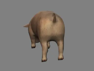 Pig Animations Low Poly- Game Ready Low-poly 3D model