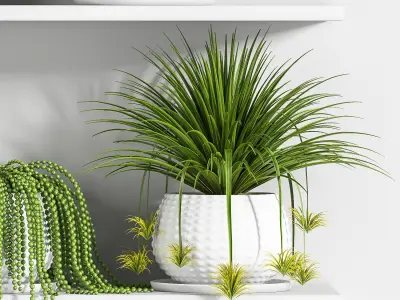 Indoor Plant Set 22 3D model