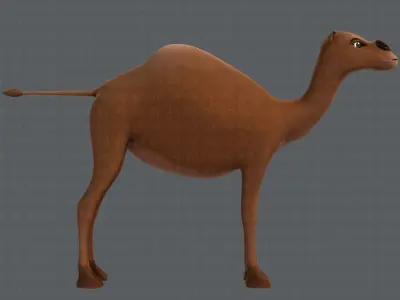 Camel V01 Low-poly 3D model
