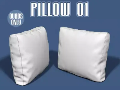 Pillow 01 3D model
