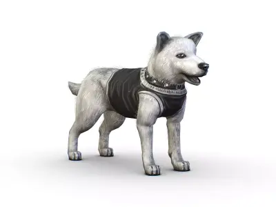 Low Poly White and Black Funny Dog Low-poly 3D model
