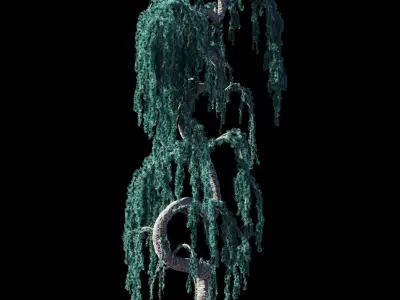 Cedrus Atlantica Glauca Pendula Zigzag Cedar 3d model 3D model