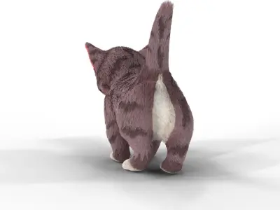 Fur Cute Cat kitten Cartoon  Low-poly 3D model