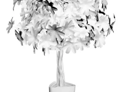 Young tree in white pot 3D model