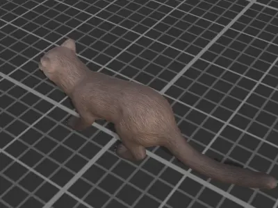 Marten  Low-poly 3D model