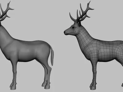 Deer Basemesh Low-poly 3D model