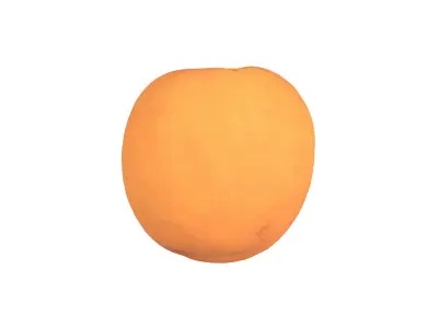 Photorealistic Apricot 3D Scan 3D model