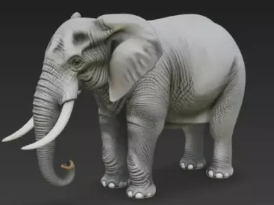 Realistic African Elephant 3D Model High Detail Wildlife  Low-poly 3D model