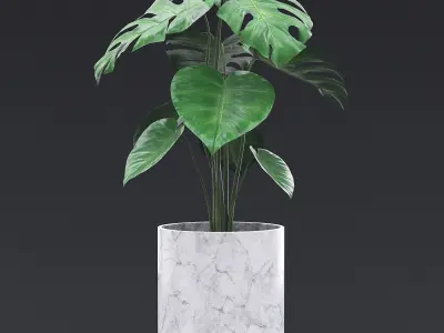 Cheese Plant II 3D model