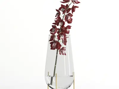 Cymbidium Fire Village 3D model