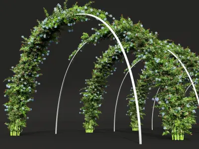 New Plant Ceratostigma Plumbaginoides Bleiwurz Decorative Free 3D model