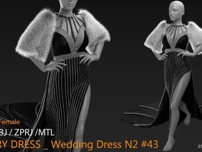 LUXURY DRESS Wedding Dress N2 43  CLO3D ZPRJ FBX OBJ MTL 3D model