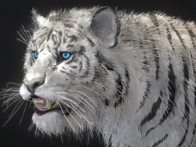 White Tiger 3D model purchase