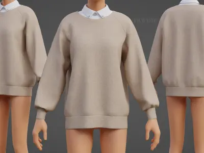 Sweater  and Collared Shirt - Knit Pullover wear formal clothing 3D model