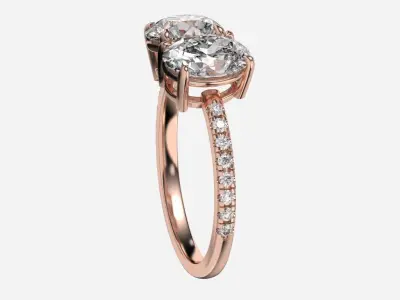 Two Stone diamond Ring 3D print model