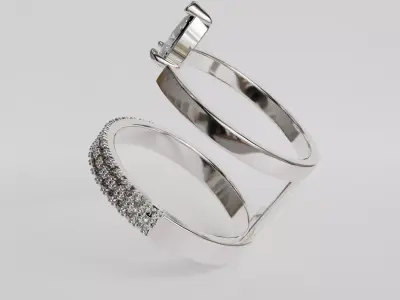 Double ring 3D print model