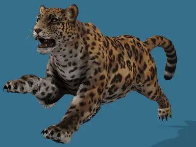 JAGUAR RIGGED ANIMATED 13 Low-poly 3D model