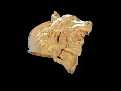Wolf Warrior 3D print model