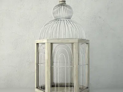 Hexi Decorative Cage by ZARA HOME 3D model