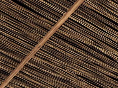 Ceiling thin branch rectangle n1 3D model