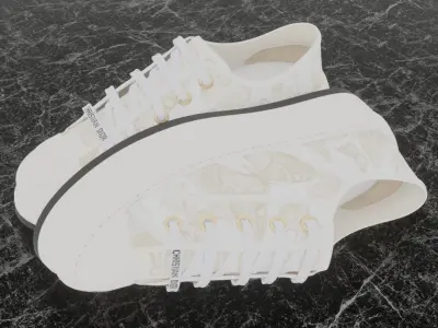 CHRISTIAN DIOR 3D SHOES - WHITE Low-poly 3D model