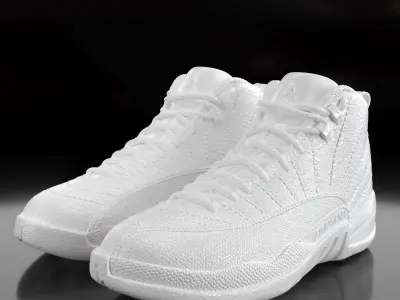 Air Jordan 12 Retro  3D print model