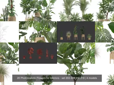 20 Photorealistic Flowers for Interiors - set 203 209 213 219 3D Model Collection