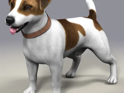 Dog  Jack Russell Terrier  Fur Low-poly 3D model