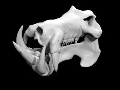 Hippo Skull Low-poly 3D model purchase