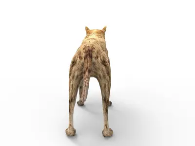 3D wild Hyena Rigged  Low-poly 3D model