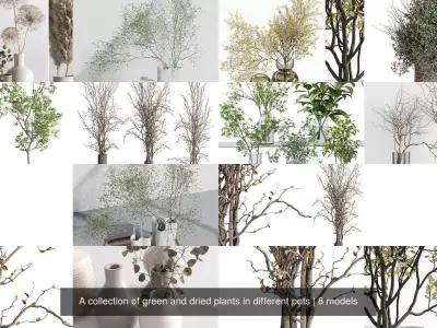 A collection of green and dried plants in different pots