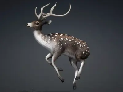 Deer-C3 3D model