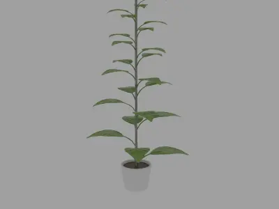 Small decorative pot tree 3D model